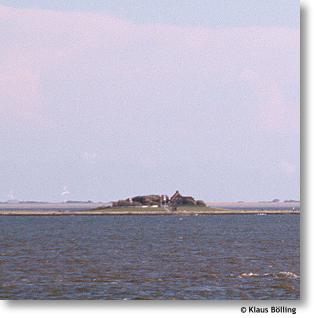 Rungholtsand, Blick vom Fuhle Schlot Richtung Norden